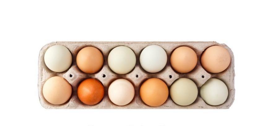 Pasture-raised Eggs (Dozen)